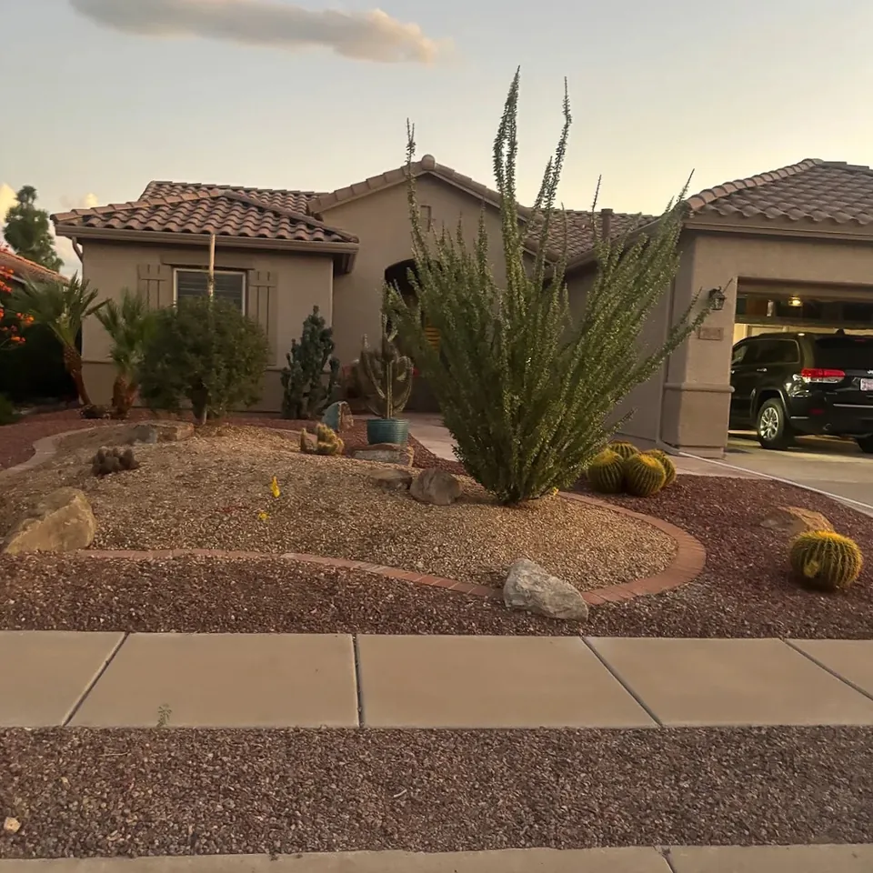 Desert front-yard planting