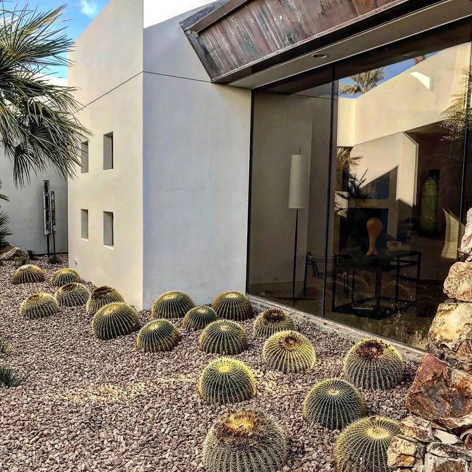 Barrel cacti planted in gravel along a stucco wall.